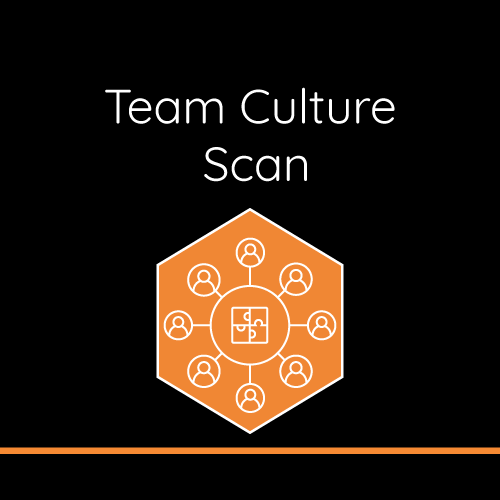 TEam-culture-scan